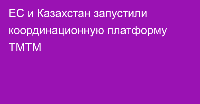 ЕС и Казахстан запустили координационную платформу ТМТМ