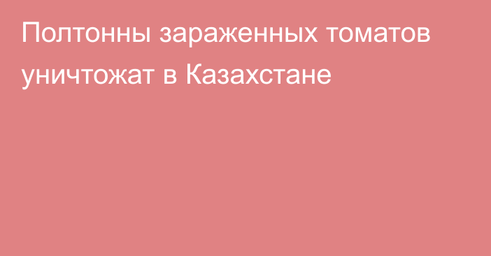 Полтонны зараженных томатов уничтожат в Казахстане