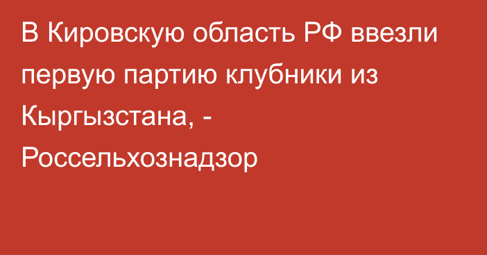 В Кировскую область РФ ввезли первую партию клубники из Кыргызстана, - Россельхознадзор