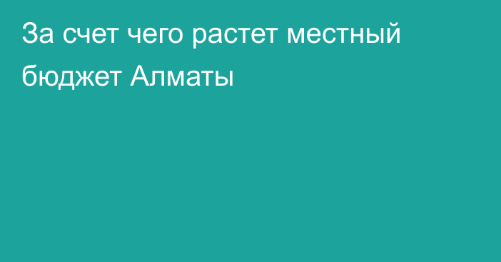 За счет чего растет местный бюджет Алматы