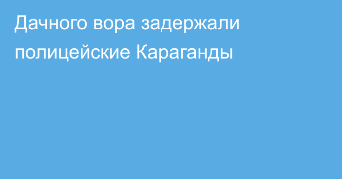 Дачного вора задержали полицейские Караганды