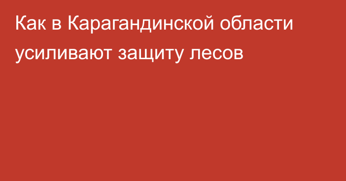 Как в Карагандинской области усиливают защиту лесов