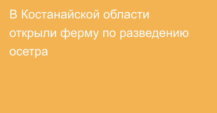 В Костанайской области открыли ферму по разведению осетра