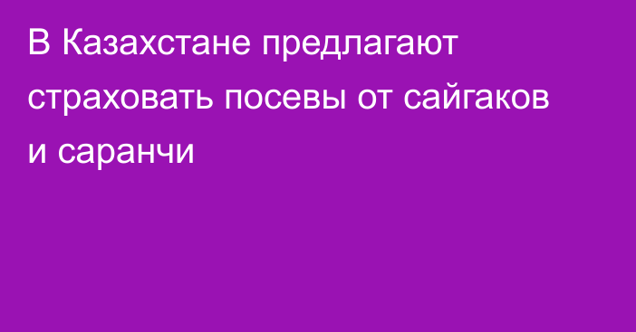 В Казахстане предлагают страховать посевы от сайгаков и саранчи