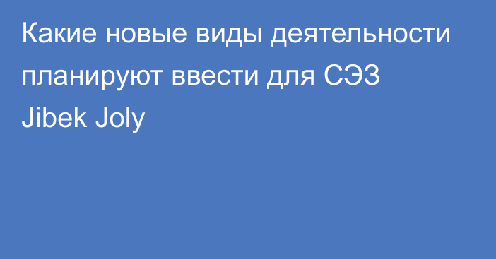 Какие новые виды деятельности планируют ввести для СЭЗ Jibek Joly