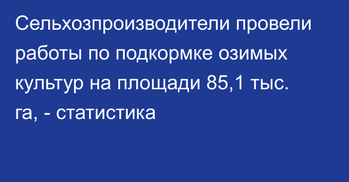 Сельхозпроизводители провели работы по подкормке озимых культур на площади 85,1 тыс. га, - статистика