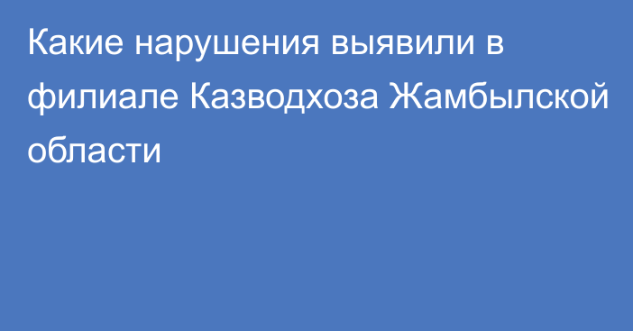 Какие нарушения выявили в филиале Казводхоза Жамбылской области