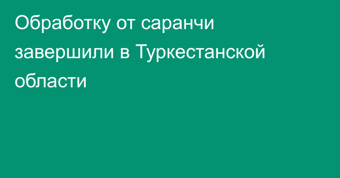 Обработку от саранчи завершили в Туркестанской области