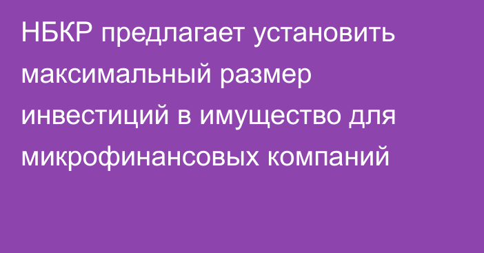 НБКР предлагает установить максимальный размер инвестиций в имущество для микрофинансовых компаний