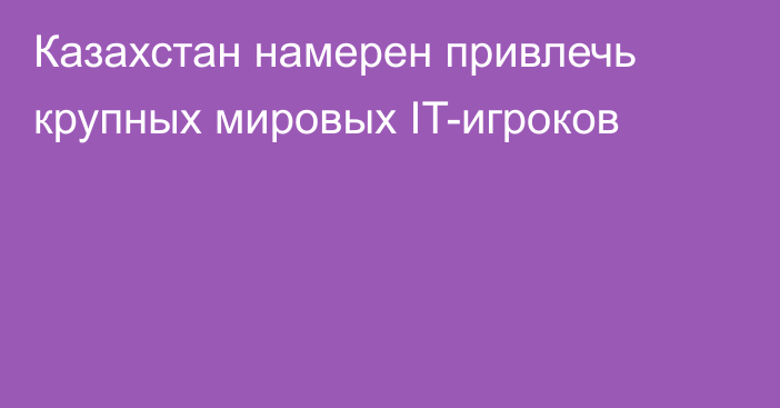 Казахстан намерен привлечь крупных мировых IT-игроков