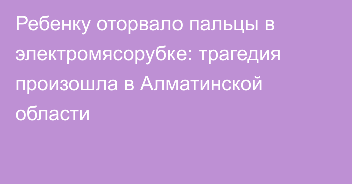 Ребенку оторвало пальцы в электромясорубке: трагедия произошла в Алматинской области