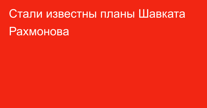 Стали известны планы Шавката Рахмонова