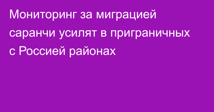 Мониторинг за миграцией саранчи усилят в приграничных с Россией районах