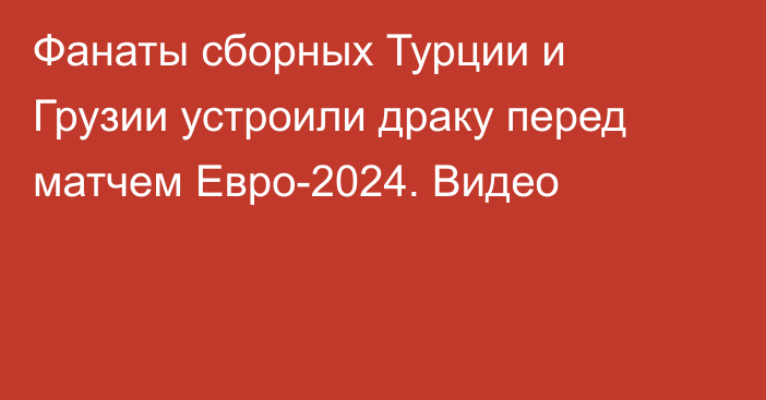 Фанаты сборных Турции и Грузии устроили драку перед матчем Евро-2024. Видео