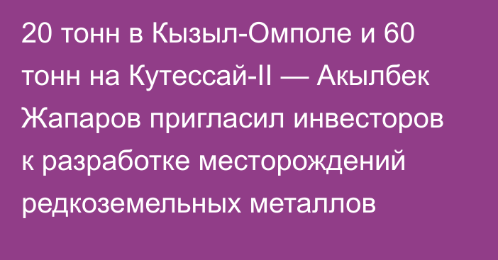 20 тонн в Кызыл-Омполе и 60 тонн на Кутессай-II — Акылбек Жапаров пригласил инвесторов к разработке месторождений редкоземельных металлов