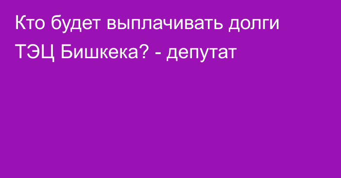 Кто будет выплачивать долги ТЭЦ Бишкека? - депутат