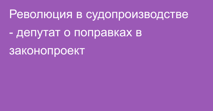 Революция в судопроизводстве - депутат о поправках в законопроект