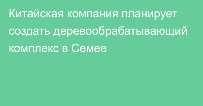 Китайская компания планирует создать деревообрабатывающий комплекс в Семее