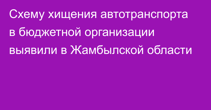 Схему хищения автотранспорта в бюджетной организации выявили в Жамбылской области