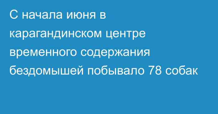 С начала июня в карагандинском центре временного содержания бездомышей побывало 78 собак