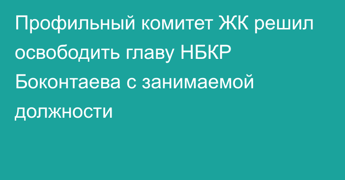 Профильный комитет ЖК решил освободить главу НБКР Боконтаева с занимаемой должности