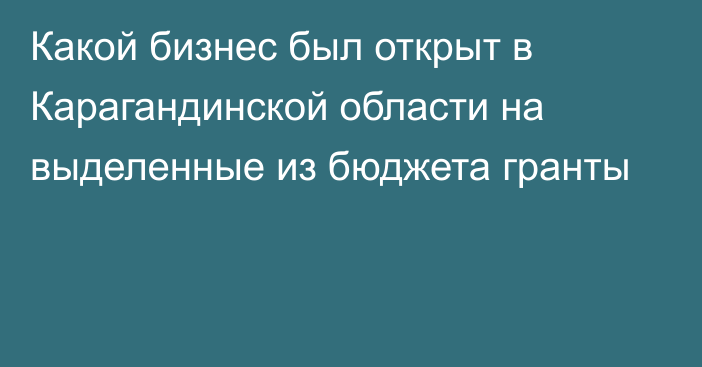 Какой бизнес был открыт в Карагандинской области на выделенные из бюджета гранты