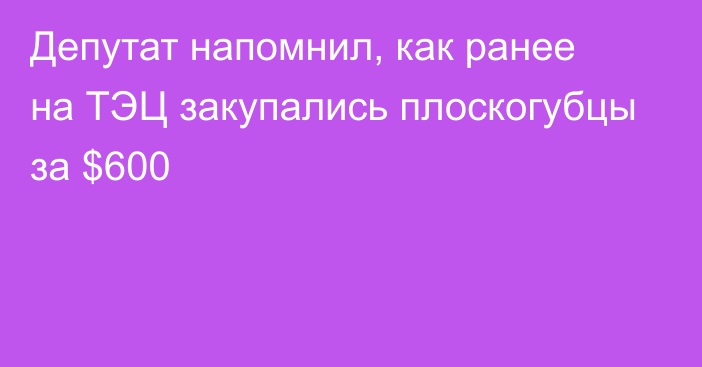 Депутат напомнил, как ранее на ТЭЦ закупались плоскогубцы за $600