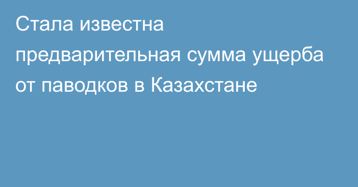 Стала известна предварительная сумма ущерба от паводков в Казахстане