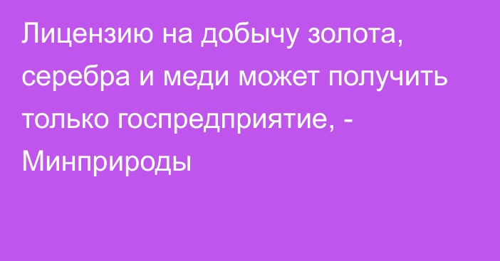 Лицензию на добычу золота, серебра и меди может получить только госпредприятие, - Минприроды