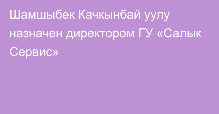 Шамшыбек Качкынбай уулу назначен директором ГУ «Салык Сервис»