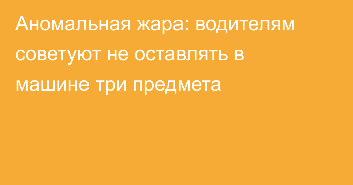 Аномальная жара: водителям советуют не оставлять в машине три предмета