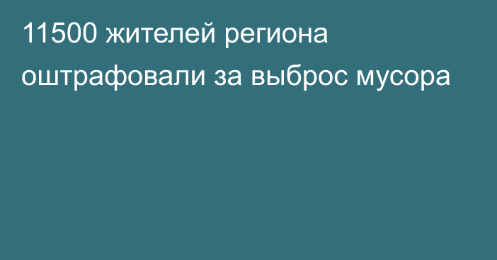 11500 жителей региона оштрафовали за выброс мусора