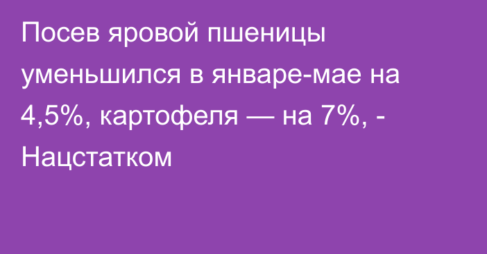 Посев яровой пшеницы уменьшился в январе-мае на 4,5%, картофеля — на 7%, - Нацстатком