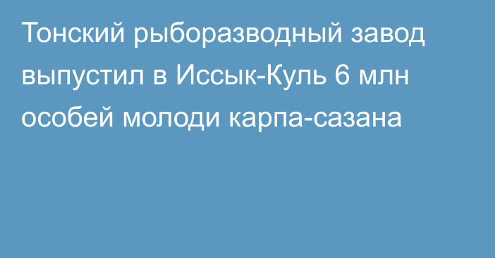 Тонский рыборазводный завод выпустил в Иссык-Куль 6 млн особей молоди карпа-сазана