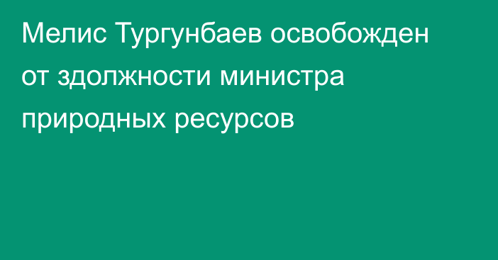 Мелис Тургунбаев освобожден от здолжности министра природных ресурсов