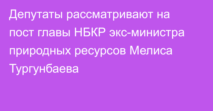 Депутаты рассматривают на пост главы НБКР экс-министра природных ресурсов Мелиса Тургунбаева