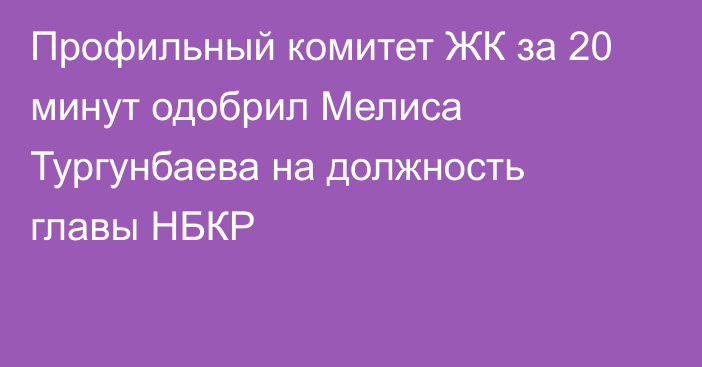 Профильный комитет ЖК  за 20 минут одобрил Мелиса Тургунбаева на должность главы НБКР