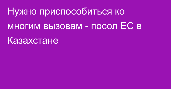 Нужно приспособиться ко многим вызовам - посол ЕС в Казахстане