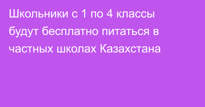 Школьники с 1 по 4 классы будут бесплатно питаться в частных школах Казахстана