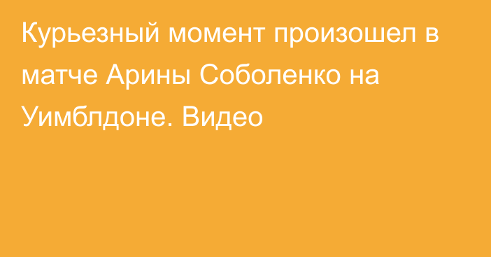 Курьезный момент произошел в матче Арины Соболенко на Уимблдоне. Видео