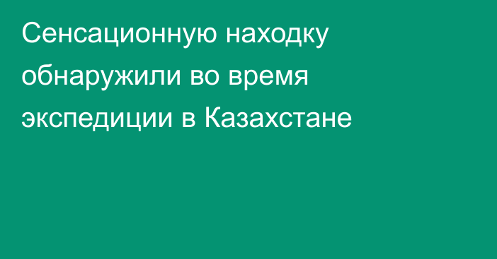 Сенсационную находку обнаружили во время экспедиции в Казахстане