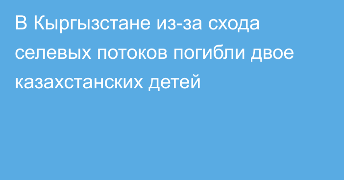 В Кыргызстане из-за схода селевых потоков погибли двое казахстанских детей