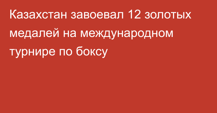 Казахстан завоевал 12 золотых медалей на международном турнире по боксу