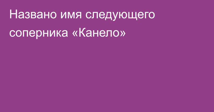 Названо имя следующего соперника «Канело»