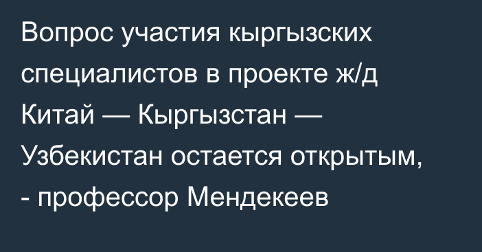 Вопрос участия кыргызских специалистов в проекте ж/д Китай — Кыргызстан — Узбекистан остается открытым, - профессор Мендекеев