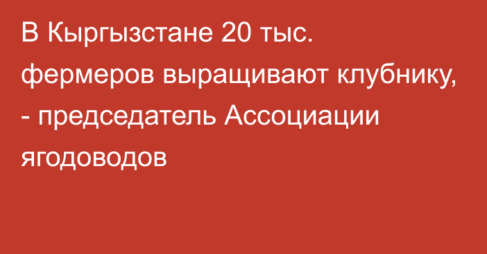 В Кыргызстане 20 тыс. фермеров выращивают клубнику, - председатель Ассоциации ягодоводов