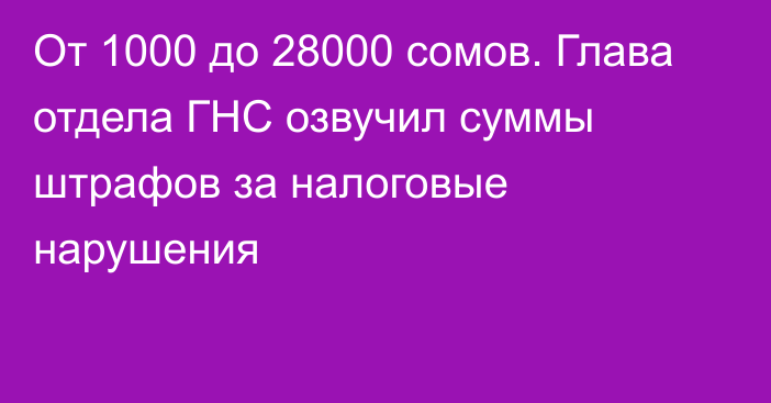 От 1000 до 28000 сомов. Глава отдела ГНС озвучил суммы штрафов за налоговые нарушения