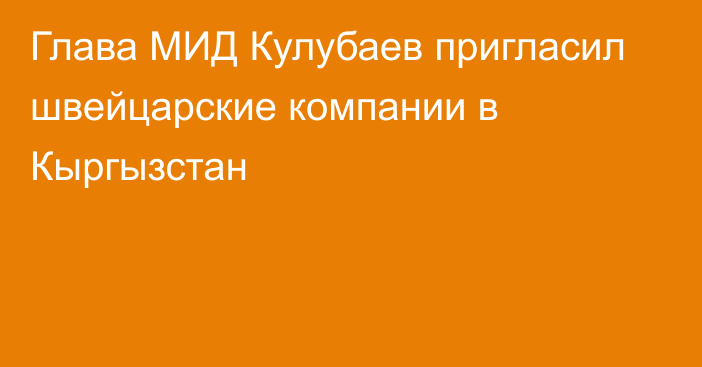 Глава МИД Кулубаев пригласил швейцарские компании в Кыргызстан