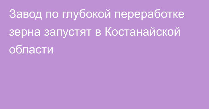 Завод по глубокой переработке зерна запустят в Костанайской области