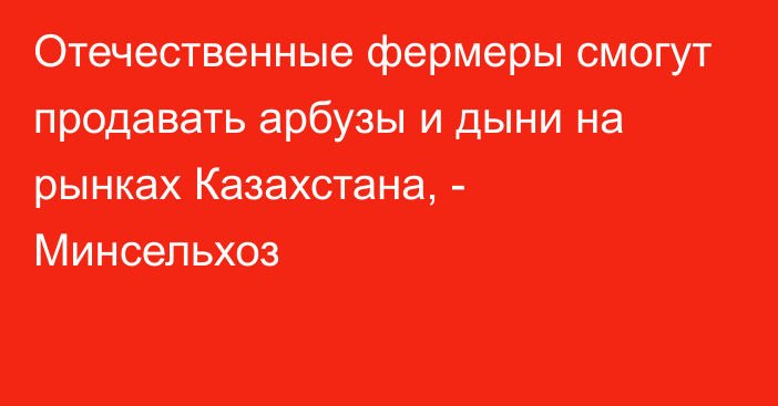 Отечественные фермеры смогут продавать арбузы и дыни на рынках Казахстана, - Минсельхоз